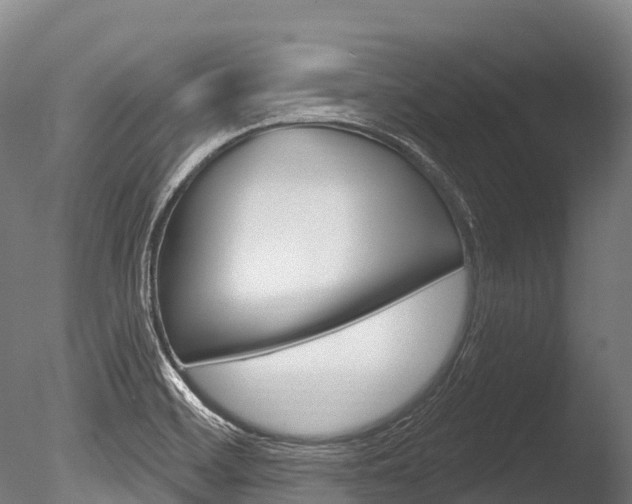 X0000086071468200703231000