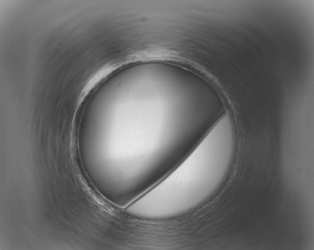 X0000086071469200703231000