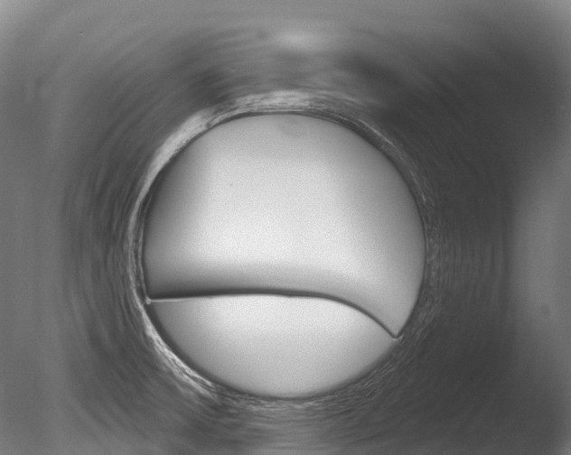 X0000086071475200703231000