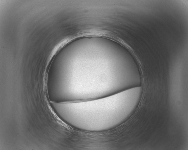 X0000086071477200703231000