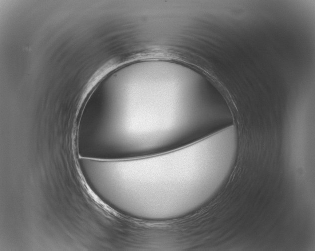 X0000086071484200703231000