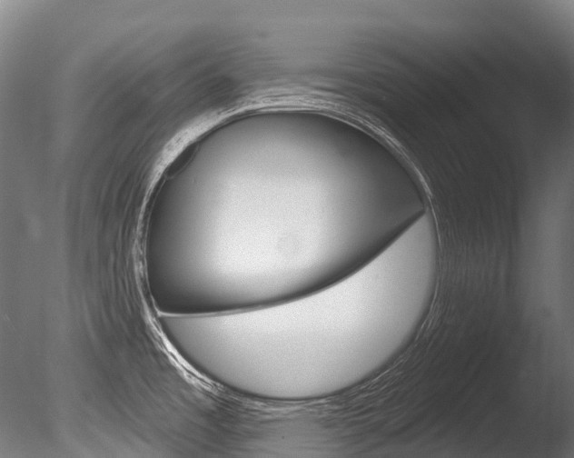 X0000086071485200703231000