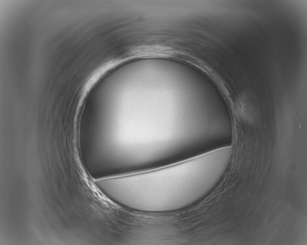 X0000086071488200703231000