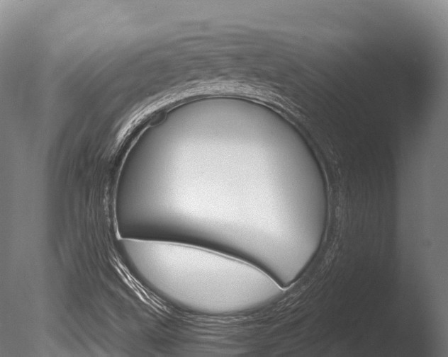 X0000086071499200703230959