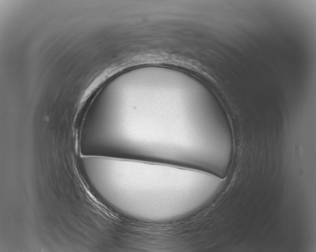 X0000086071509200703231000