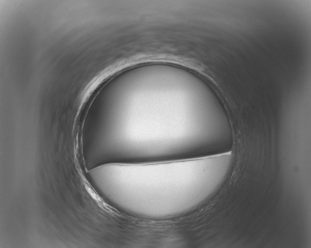 X0000086071511200703231000
