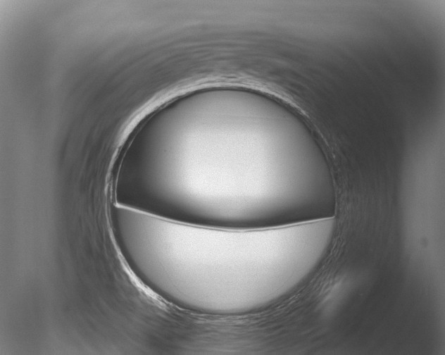 X0000086071519200703231000