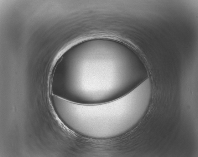X0000086071520200703231000