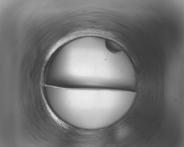 X0000086071523200703231000