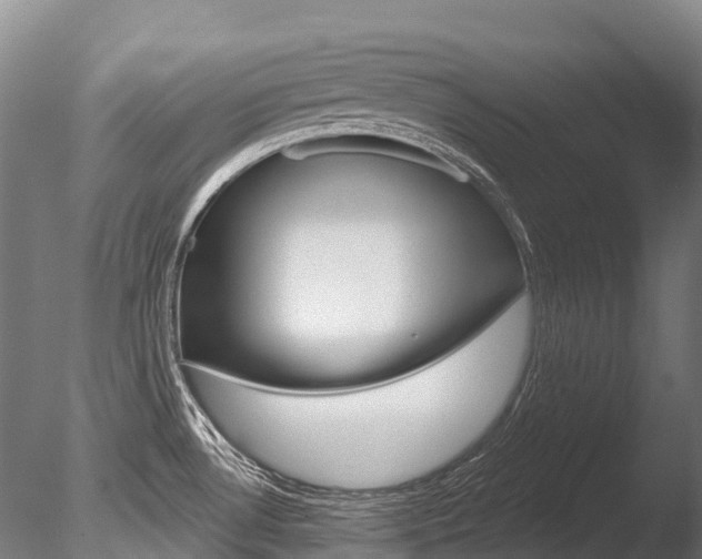 X0000086071530200703231000