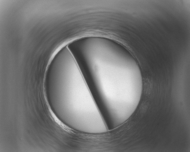 X0000086071531200703231000