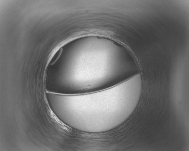 X0000086071532200703231000