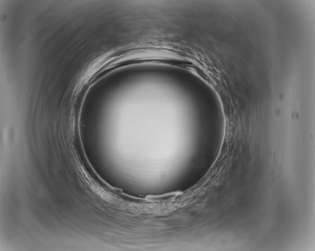 X0000086070005200703231319