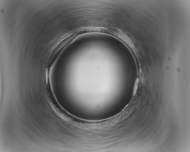 X0000086070013200703231319