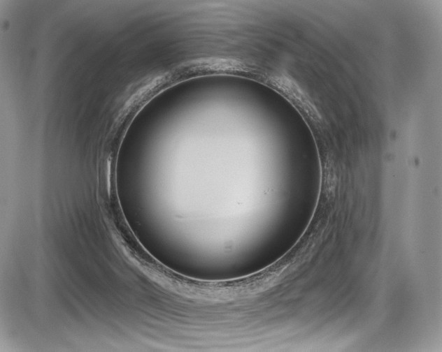 X0000086070014200703231319