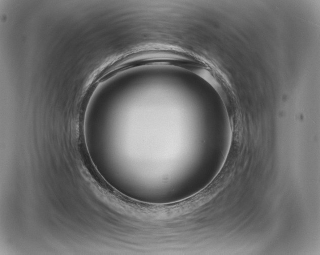 X0000086070015200703231319