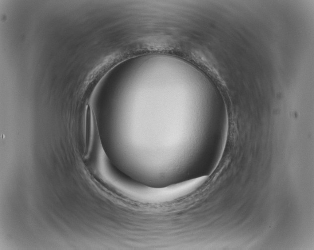 X0000086070019200703231319