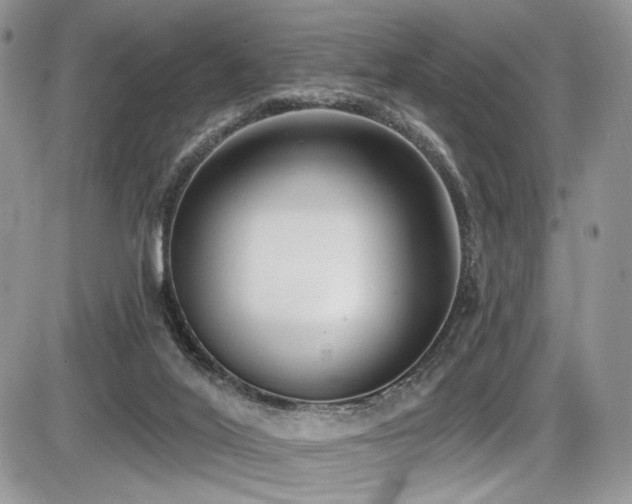 X0000086070020200703231319
