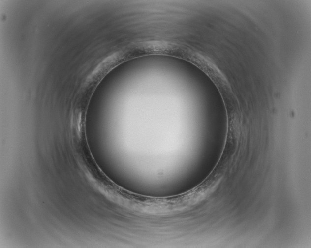 X0000086070024200703231319