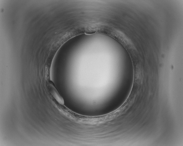 X0000086070025200703231319