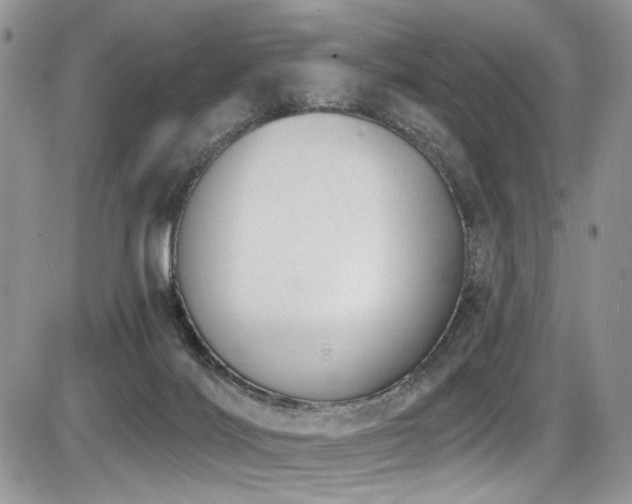X0000086070028200703231319