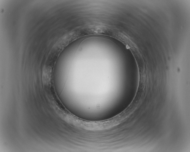 X0000086070030200703231319