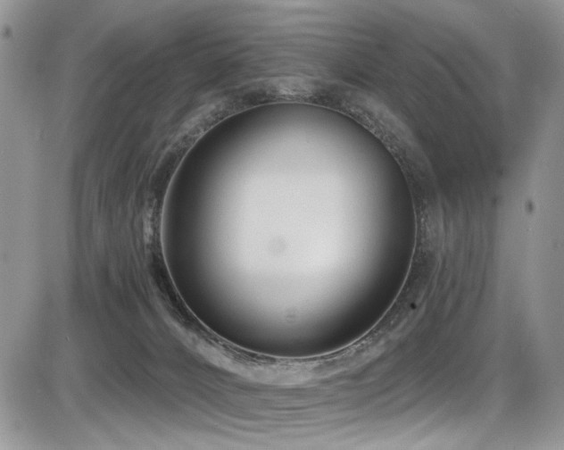 X0000086070032200703231319