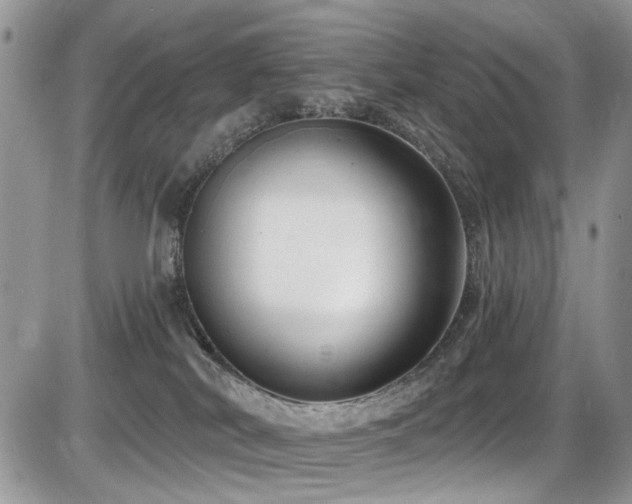 X0000086070038200703231319