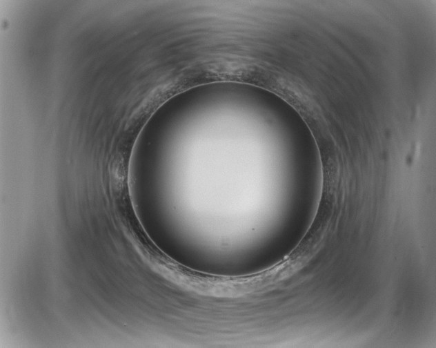 X0000086070040200703231319