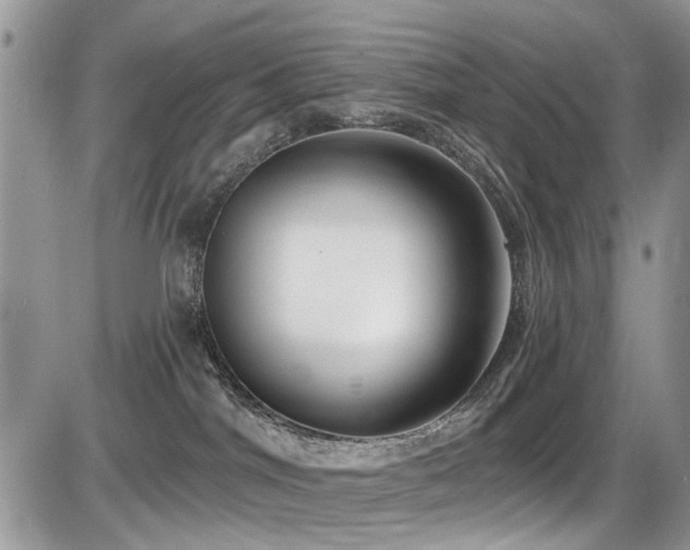 X0000086070044200703231319