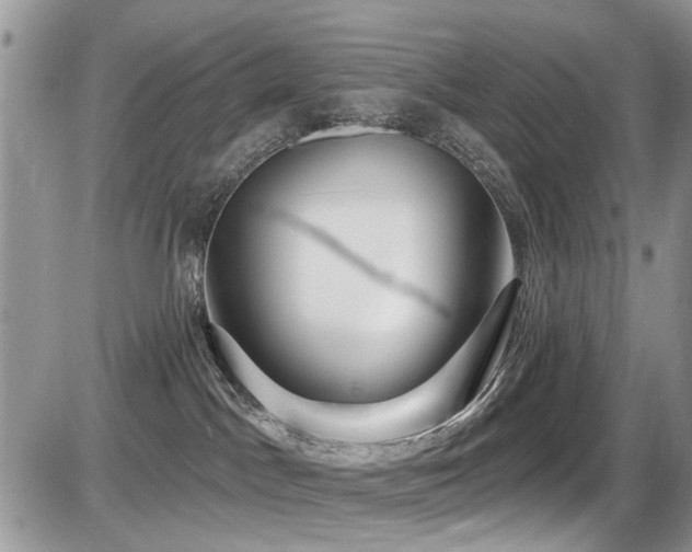 X0000086070045200703231319