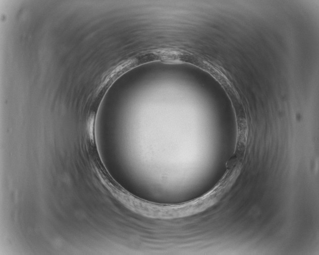 X0000086070047200703231319