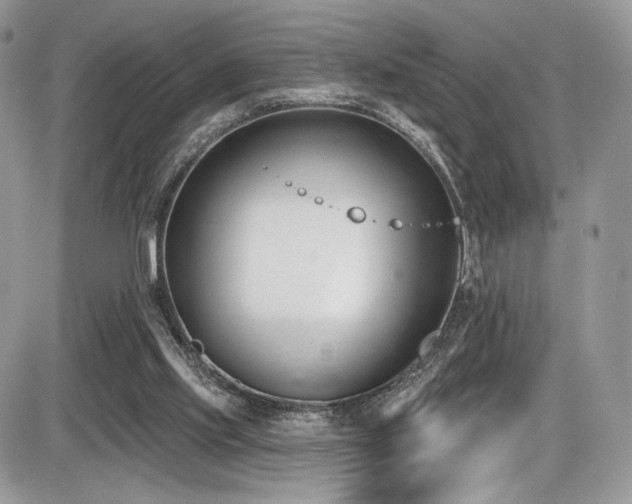 X0000086070061200703231318
