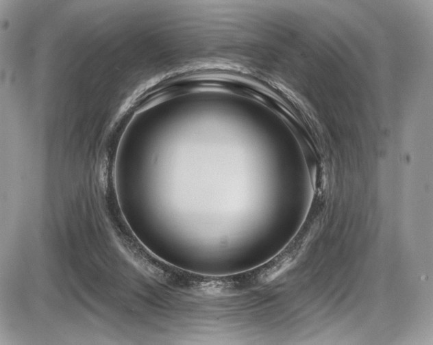 X0000086070064200703231318