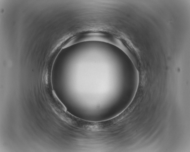X0000086070068200703231318