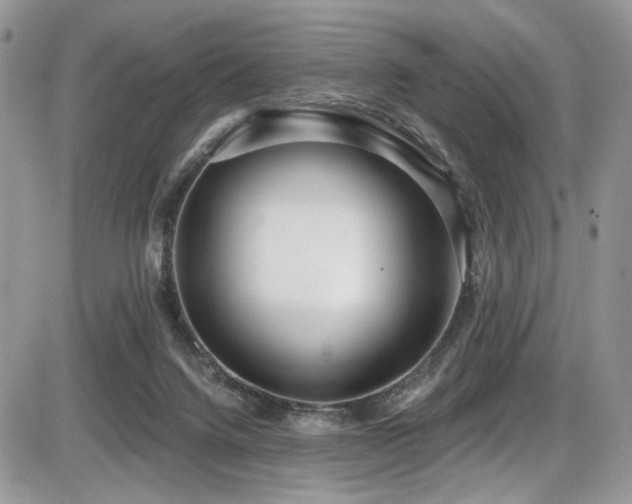 X0000086070072200703231318