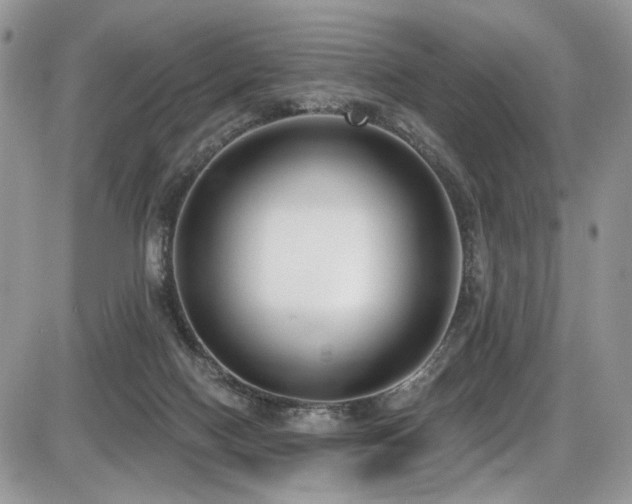 X0000086070074200703231318
