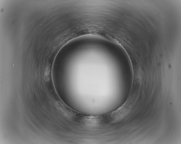 X0000086070082200703231318