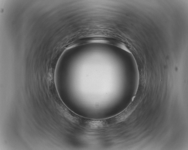 X0000086070085200703231318