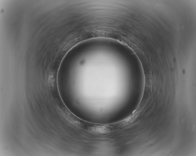 X0000086070086200703231318