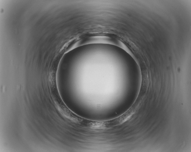 X0000086070088200703231318