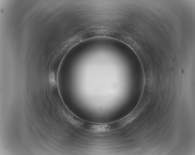X0000086070089200703231318