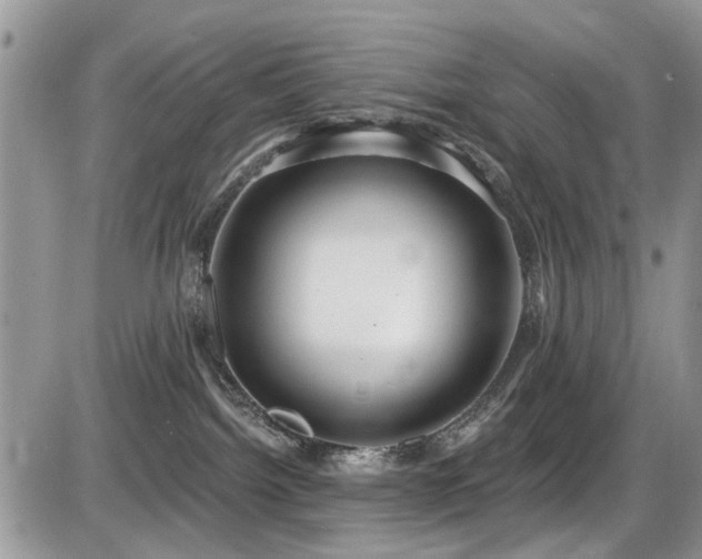 X0000086070092200703231318