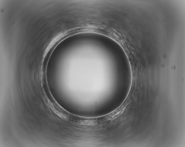 X0000086070102200703231318