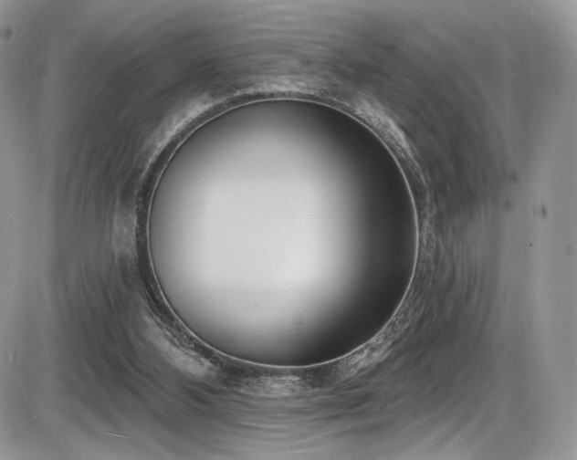 X0000086070108200703231318