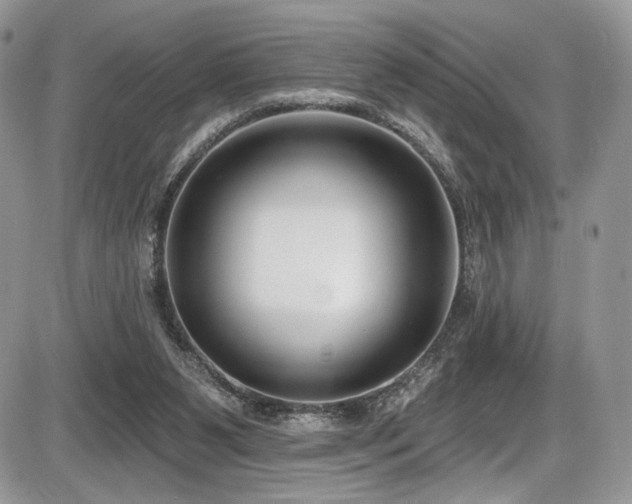 X0000086070111200703231317