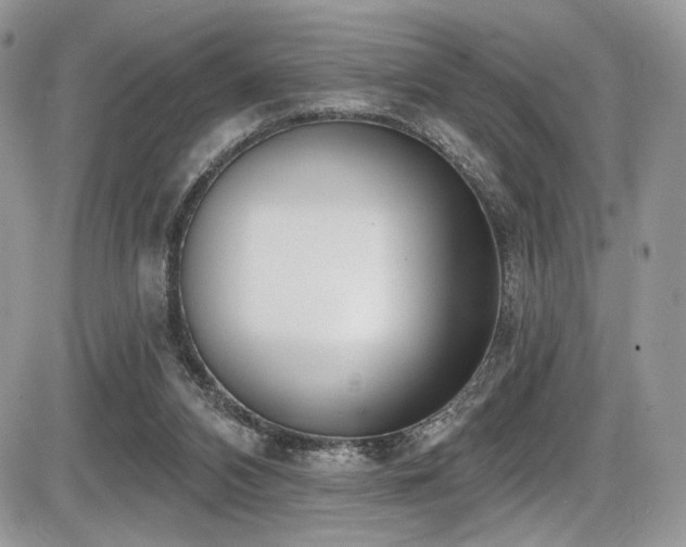 X0000086070112200703231317