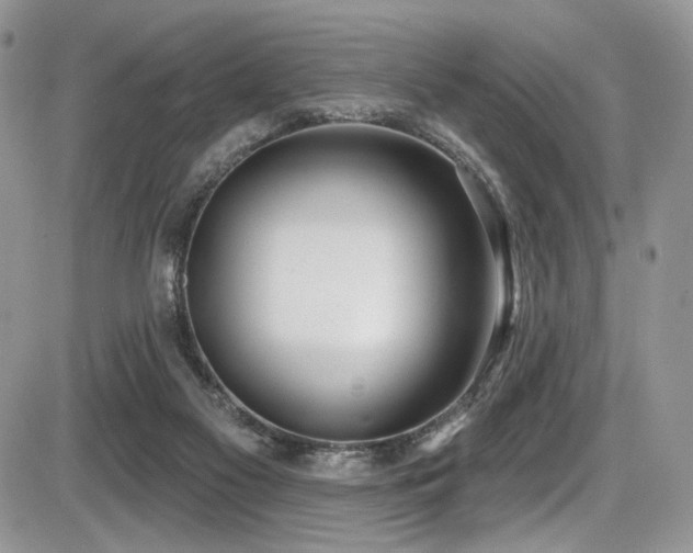 X0000086070117200703231317