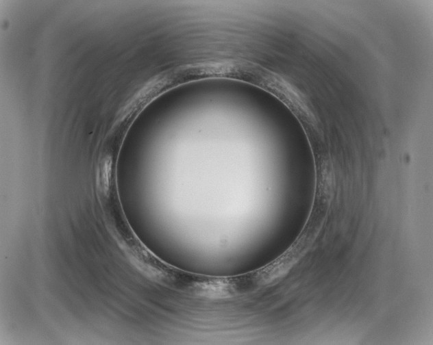 X0000086070118200703231317