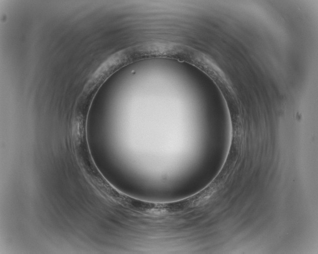 X0000086070119200703231317